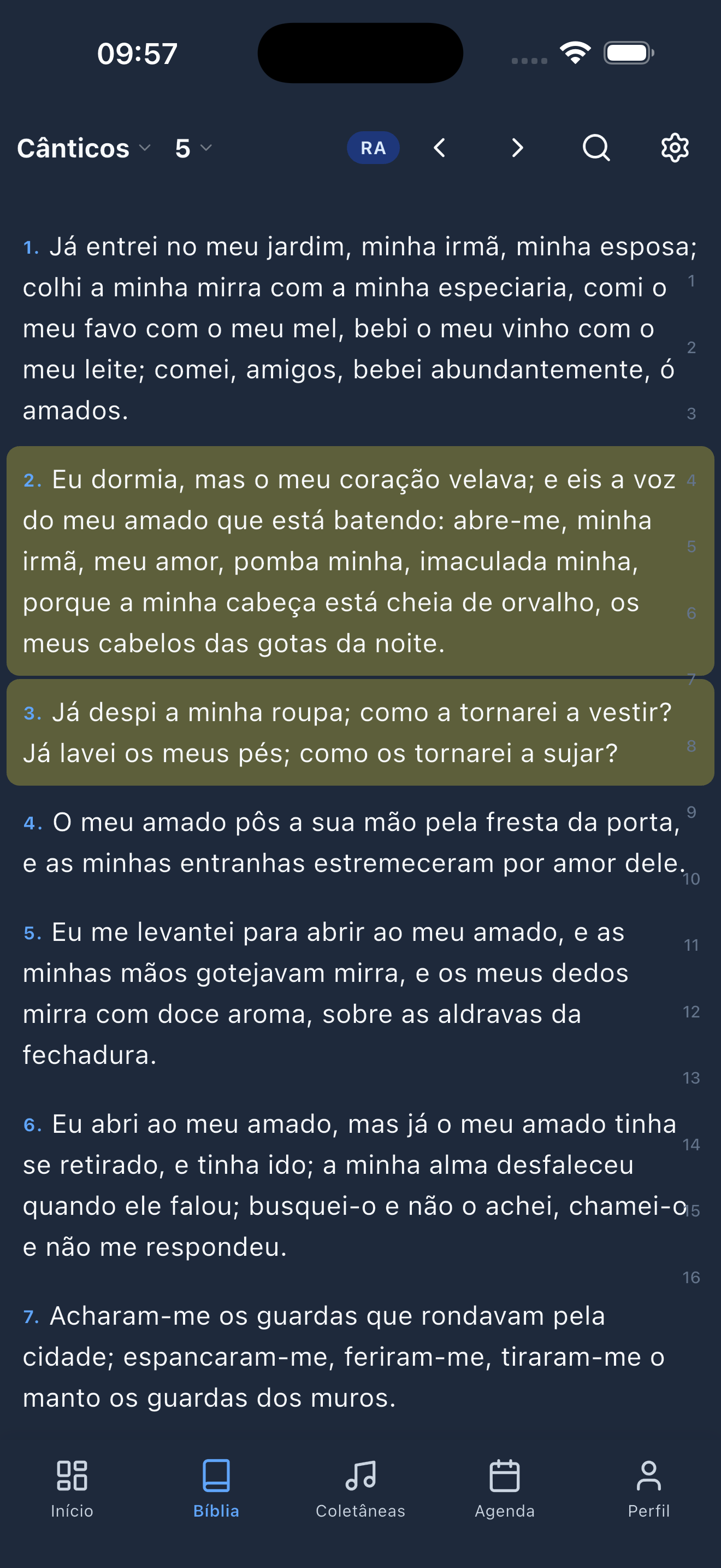 Captura del app — Biblia (oscuro)